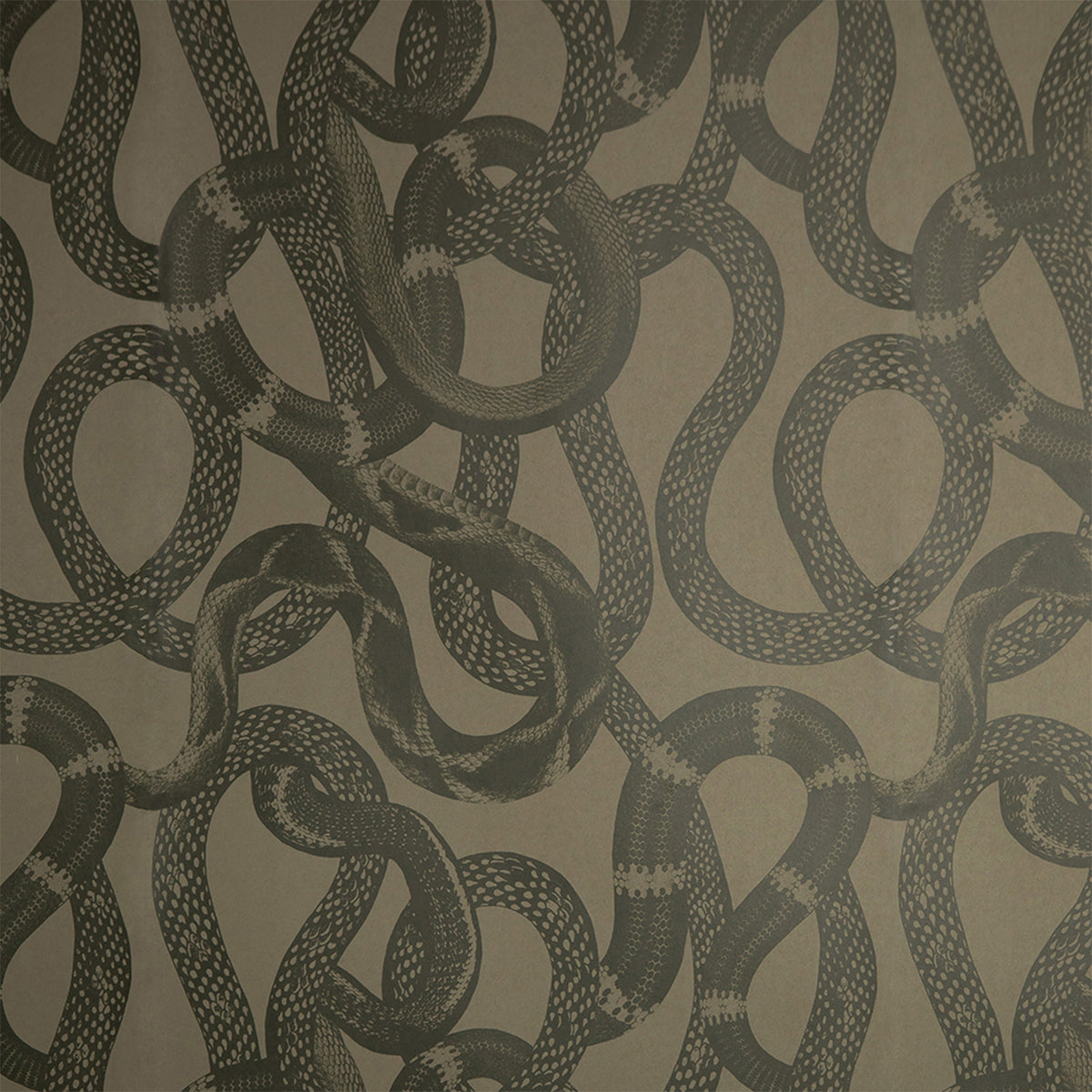 Snake Peek, Green 1313