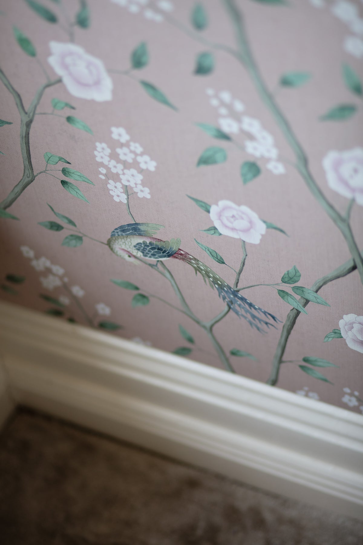 Paradise Birds 1901