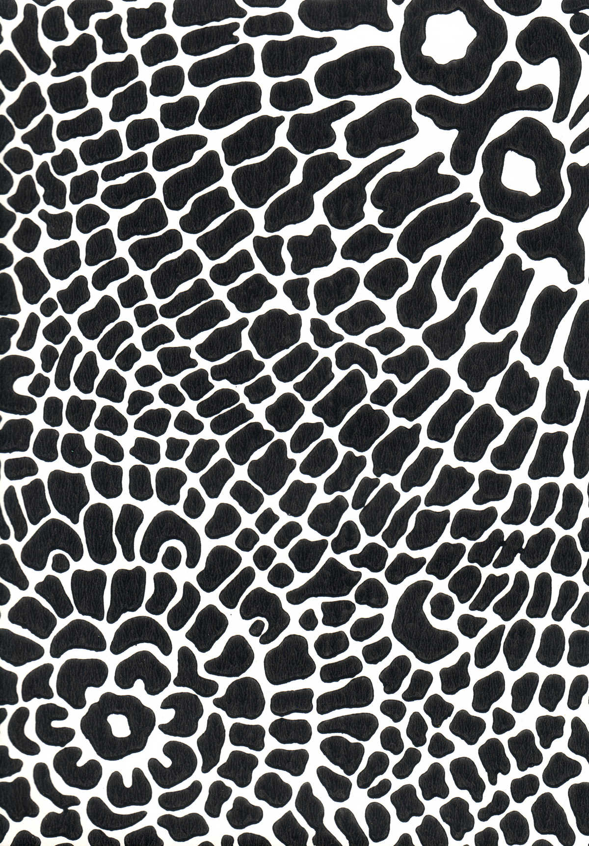 Ritva Kronlund: Pantteri 68648