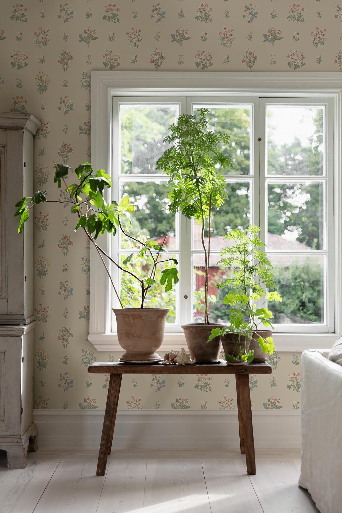 Ängsflora 6951