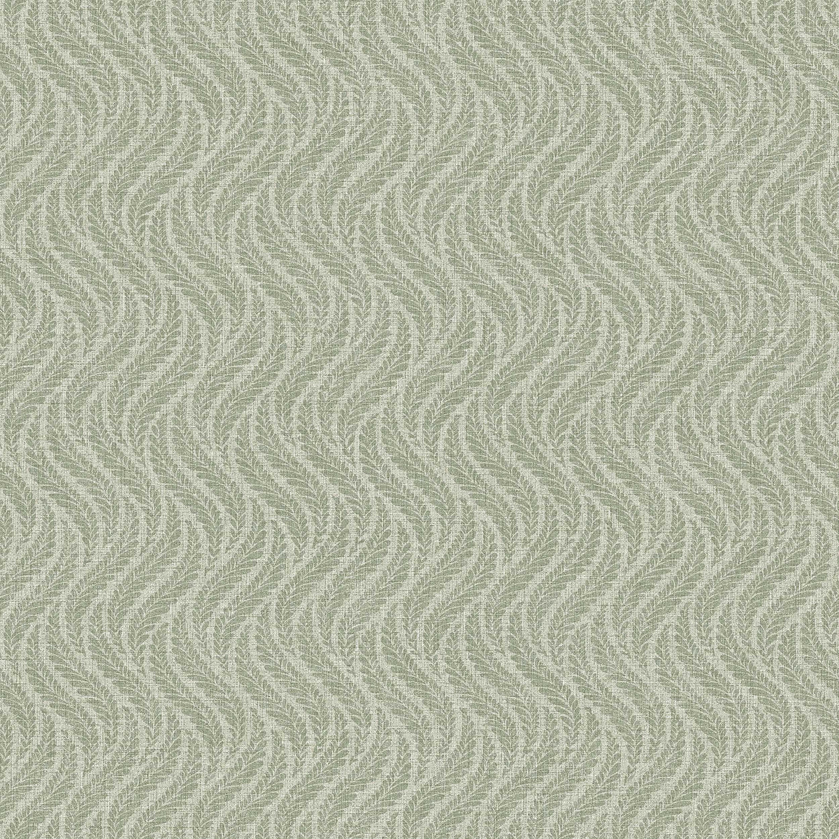 Little Fern 7772