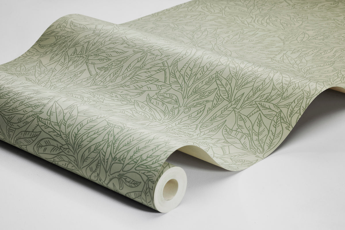 Salix Alba 7787
