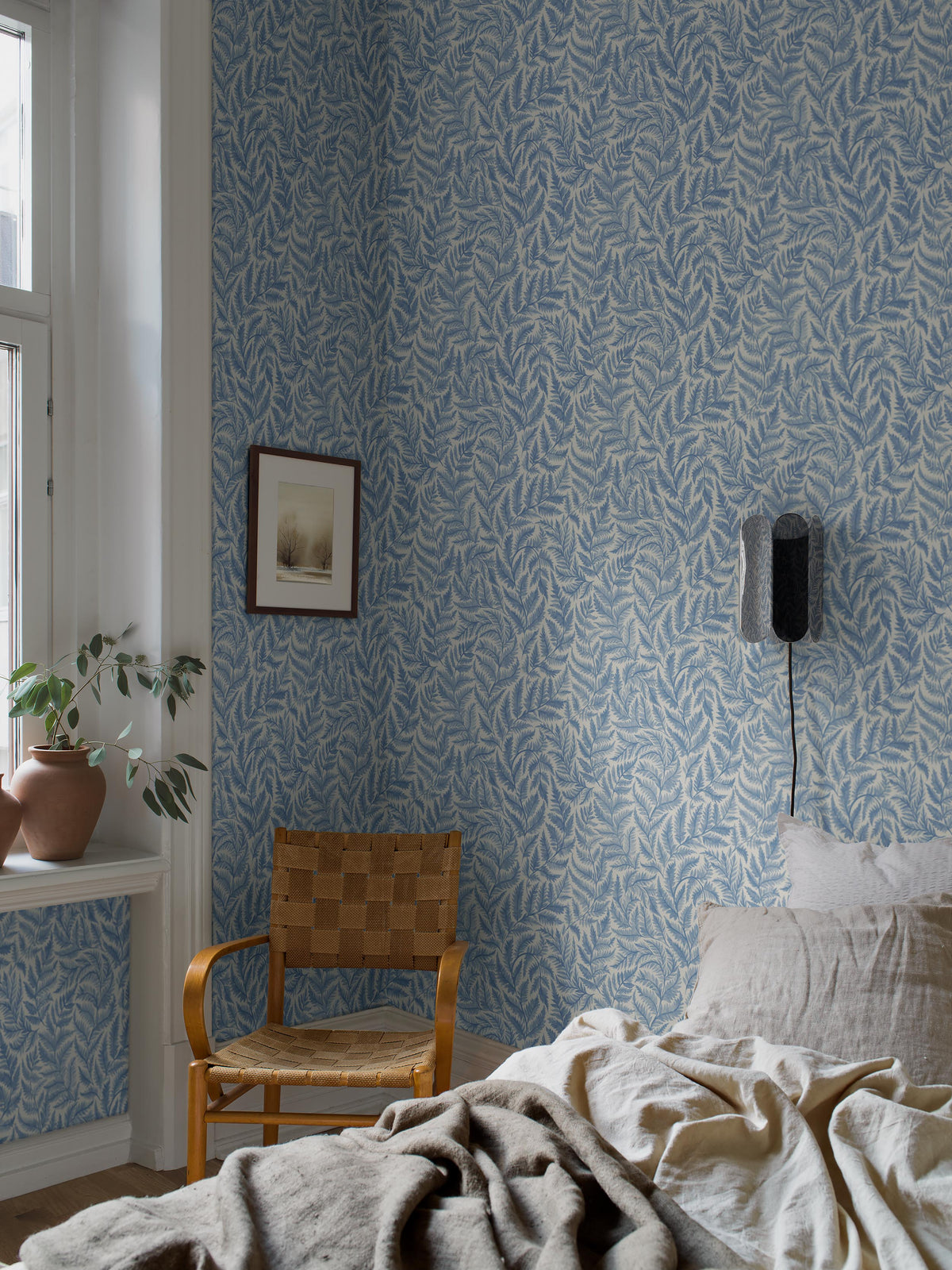 Ferns 7790