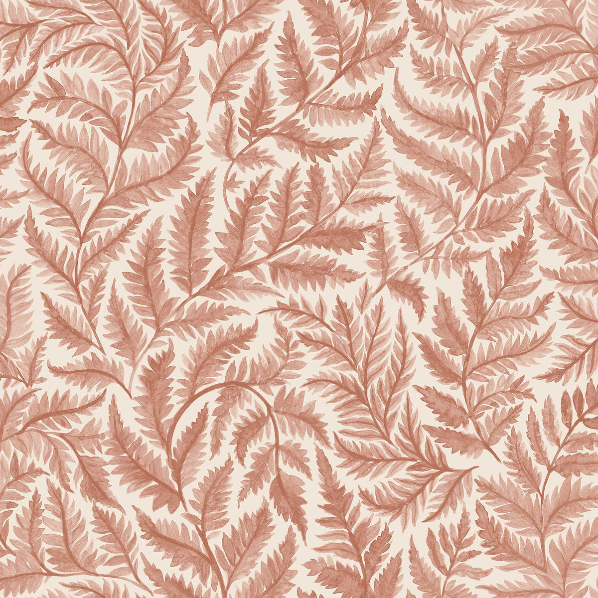 Ferns 7791