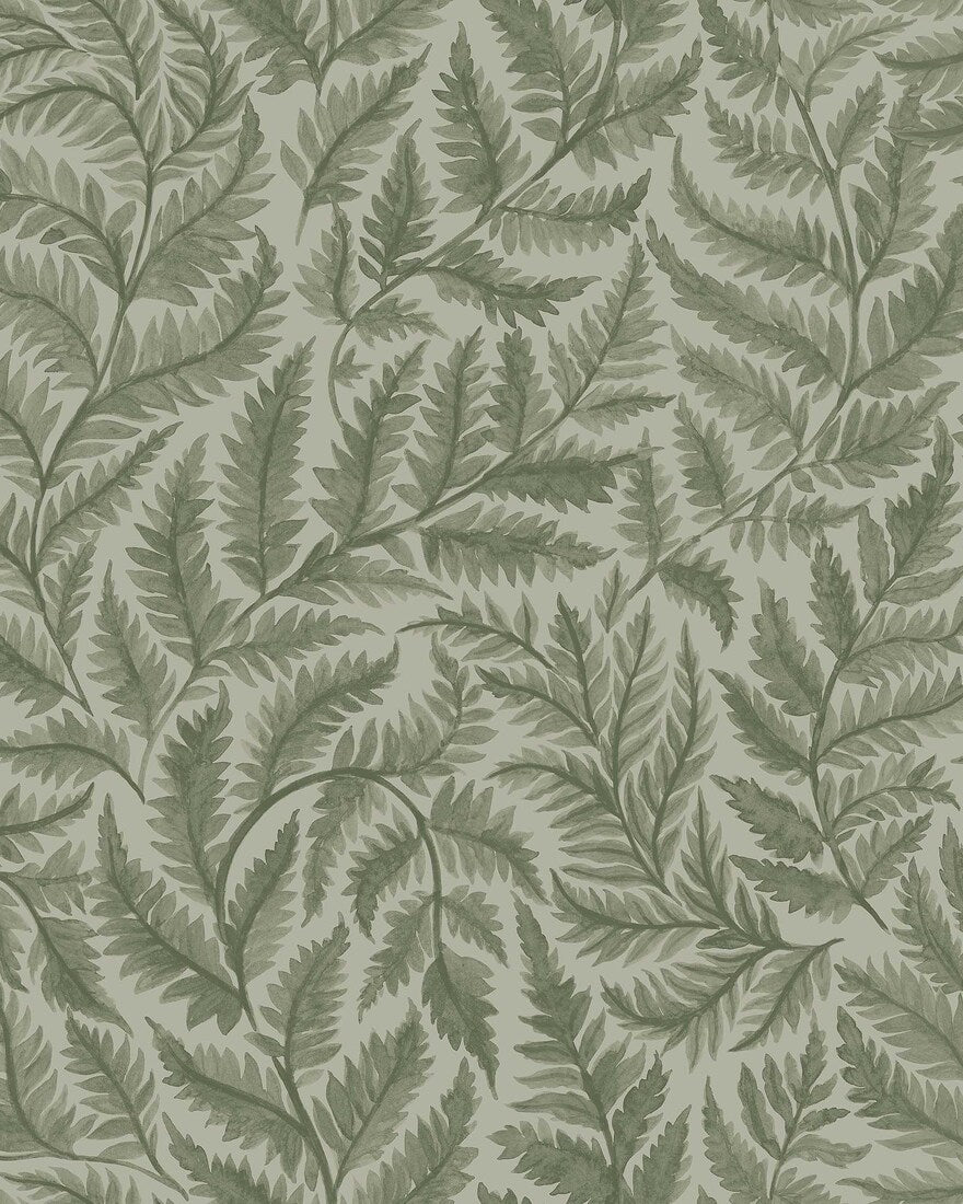 Ferns 7792