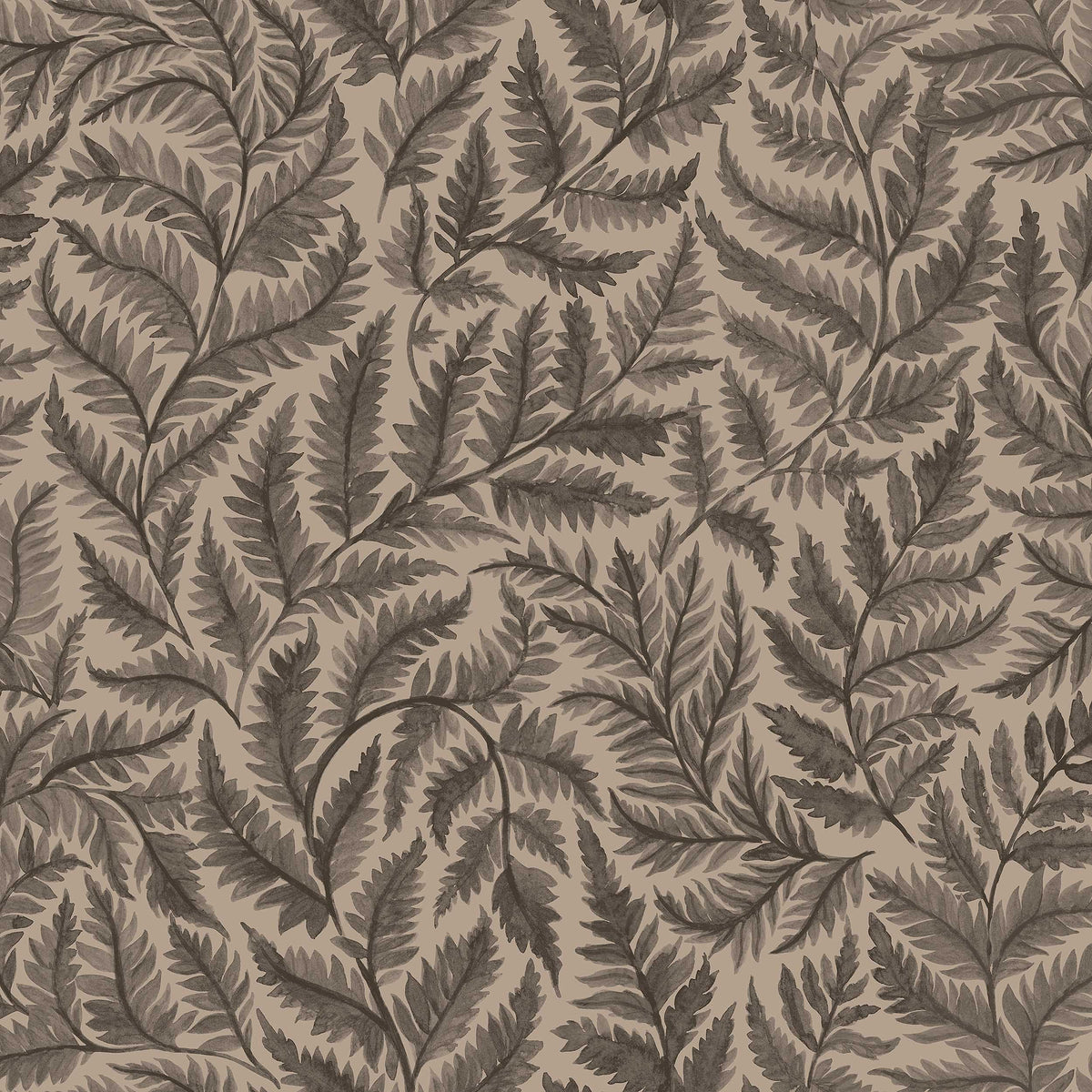 Ferns 7793