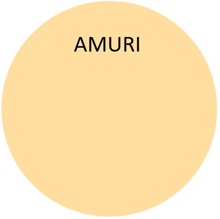 BIORA 7 Himmeä sisustusmaali (Värituvan omat sävyt 15 kpl)