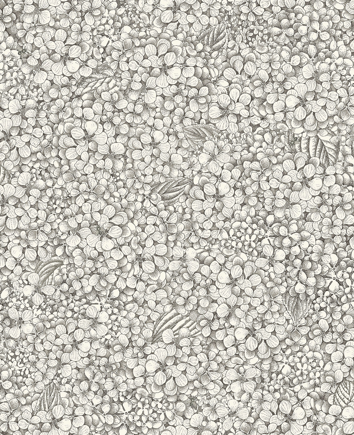 Ortensia 123/9043