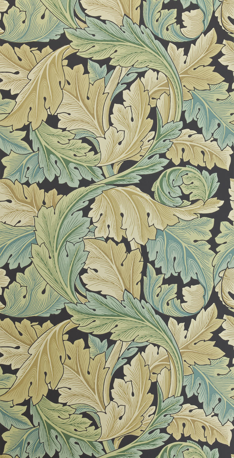 Acanthus 212550