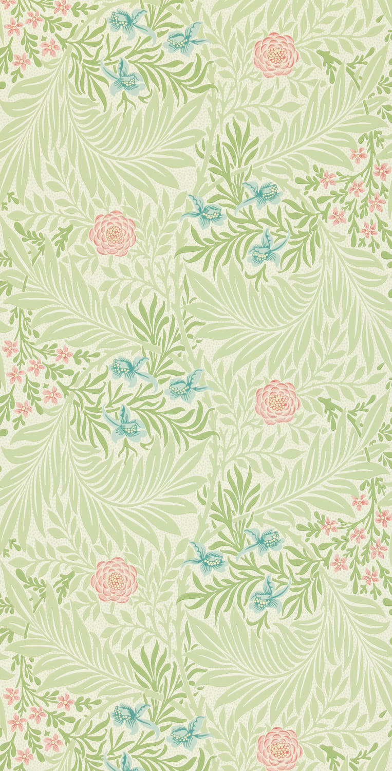 Larkspur 212558