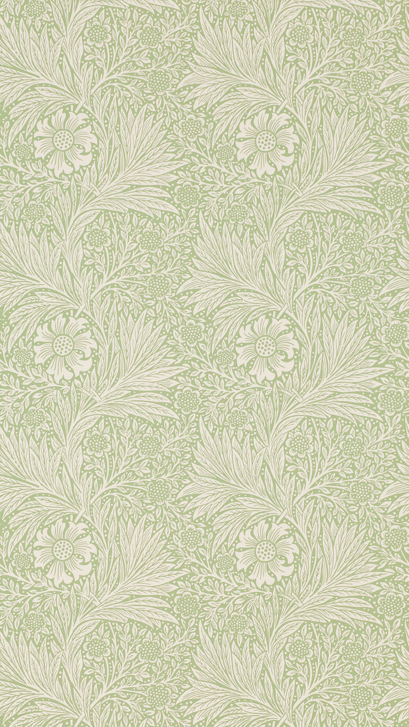 Marigold 216837