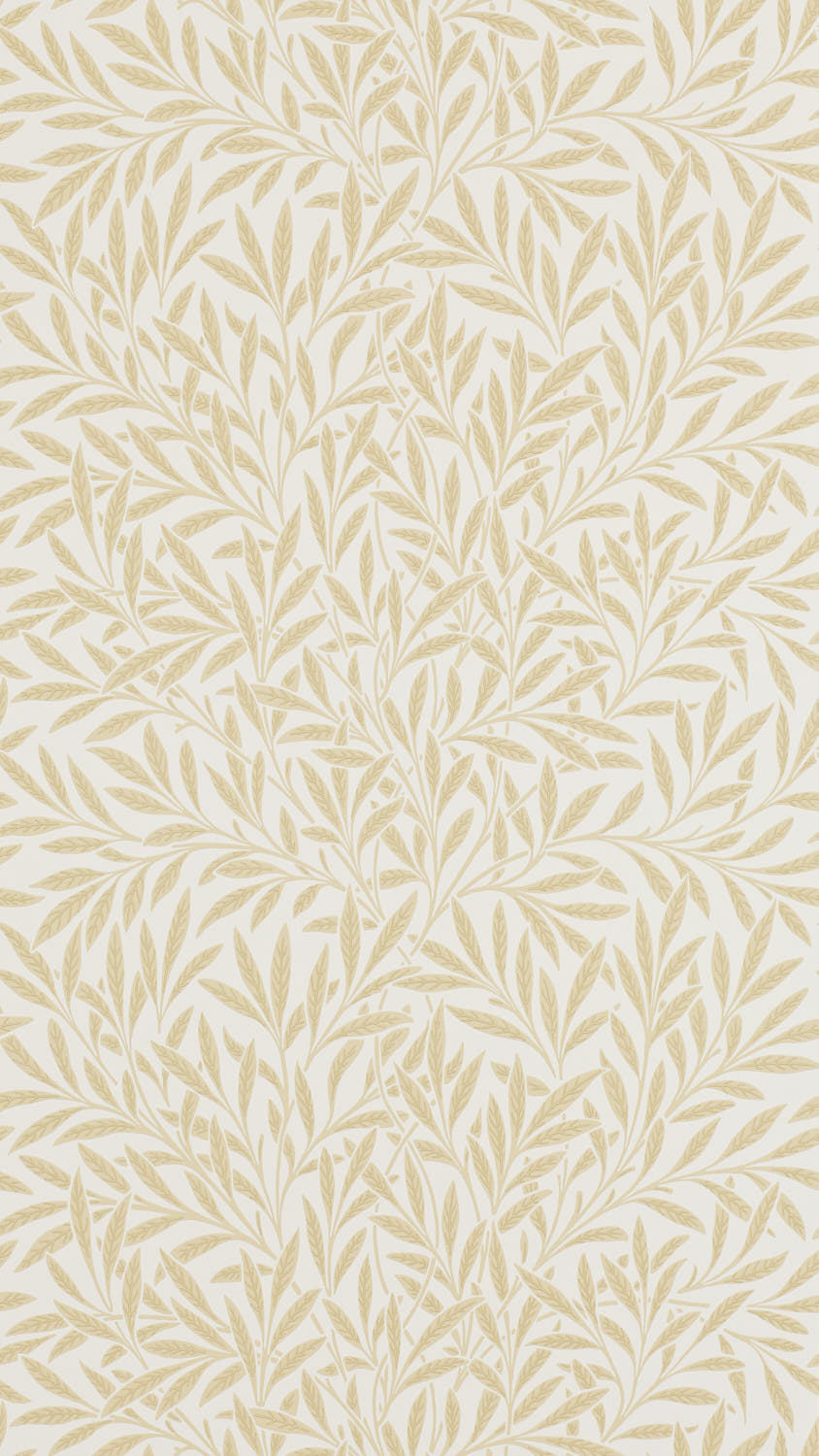 Willow 210385