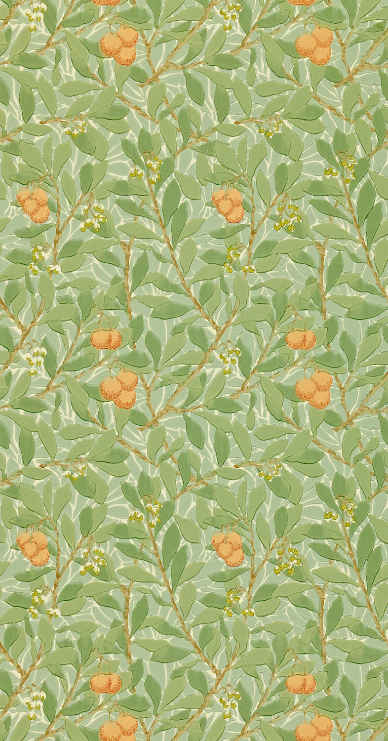 Arbutus DJA1A7103 (210408)