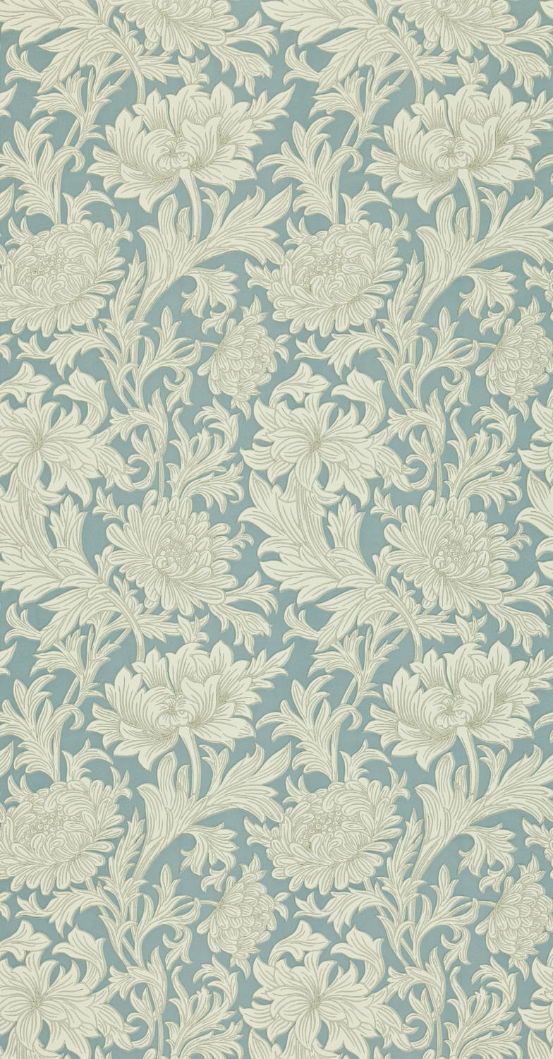 Chrysanthemum 210415