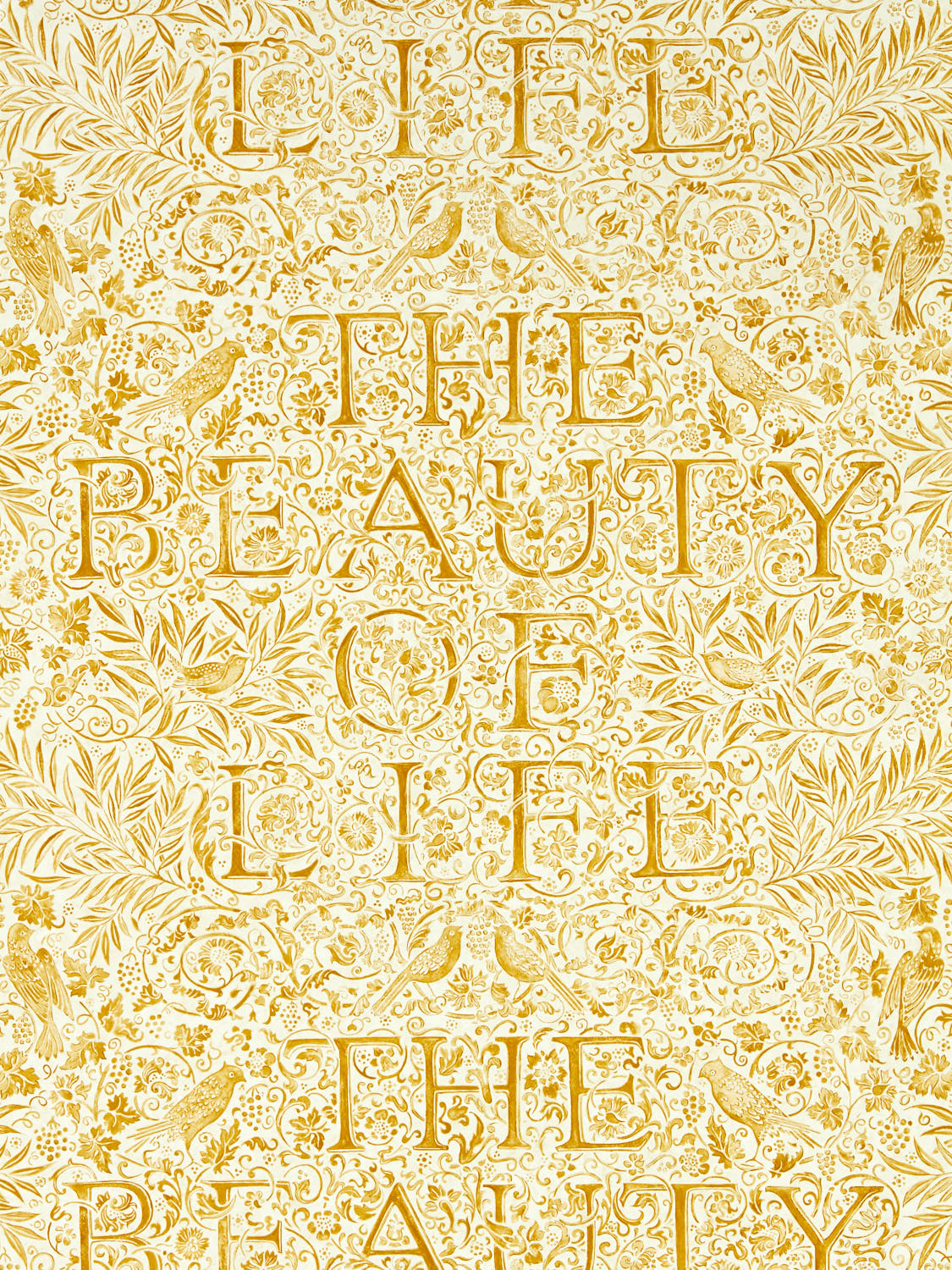The Beauty of Life 217191