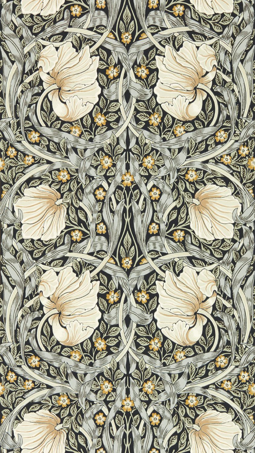 Pimpernel 217362