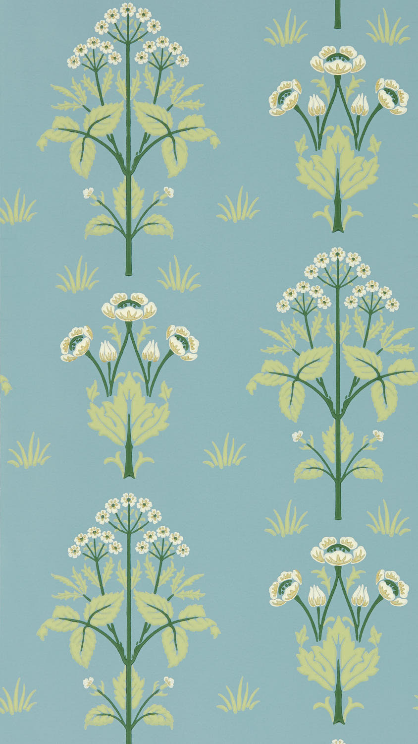 Meadow Sweet 217367