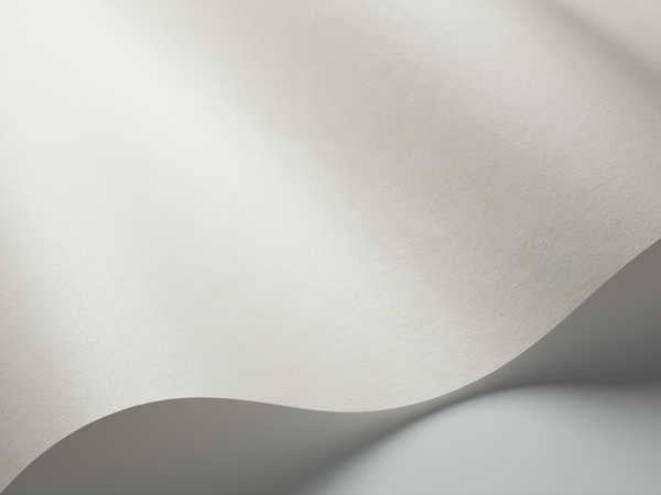 Shades of Chalk 4625