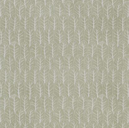 Coleslaw 02-15