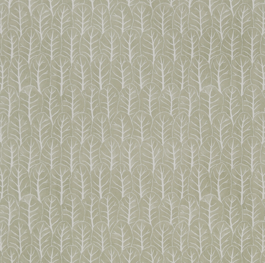 Coleslaw 02-15