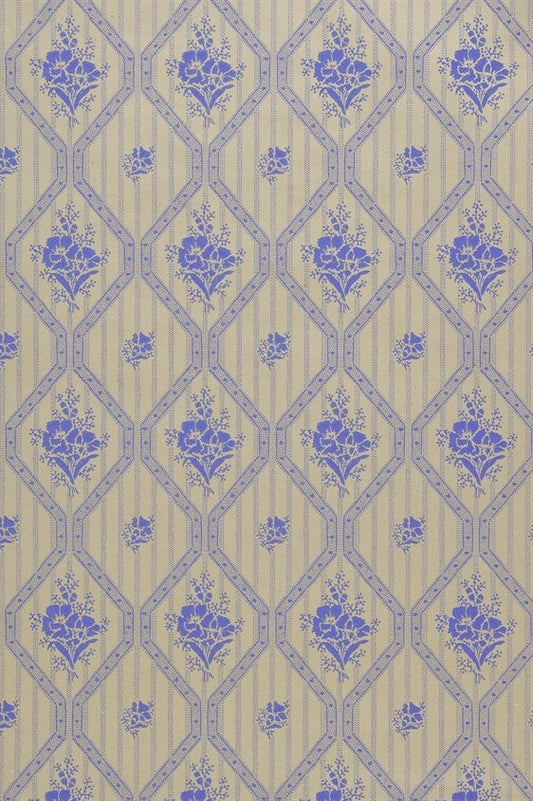 Blåklint 18-K11-44-C