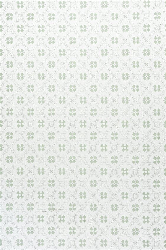 Erken 18-K23-56-C