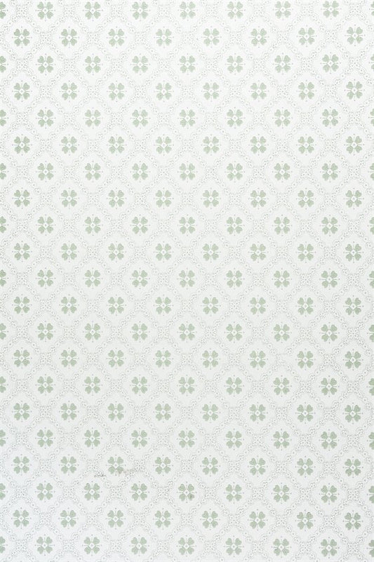 Erken 18-K23-56-C