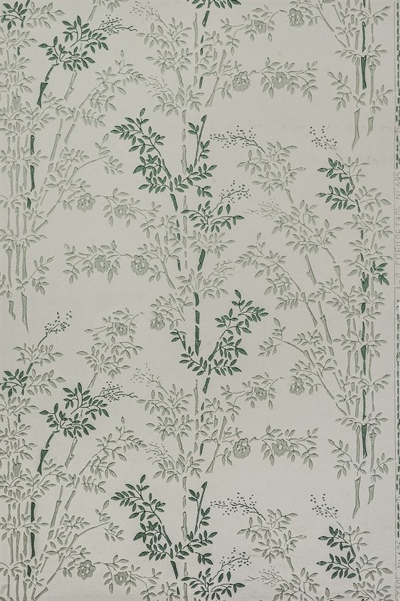Bambu 18-X124-54-F