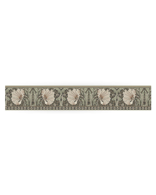 Pimpernel 182110