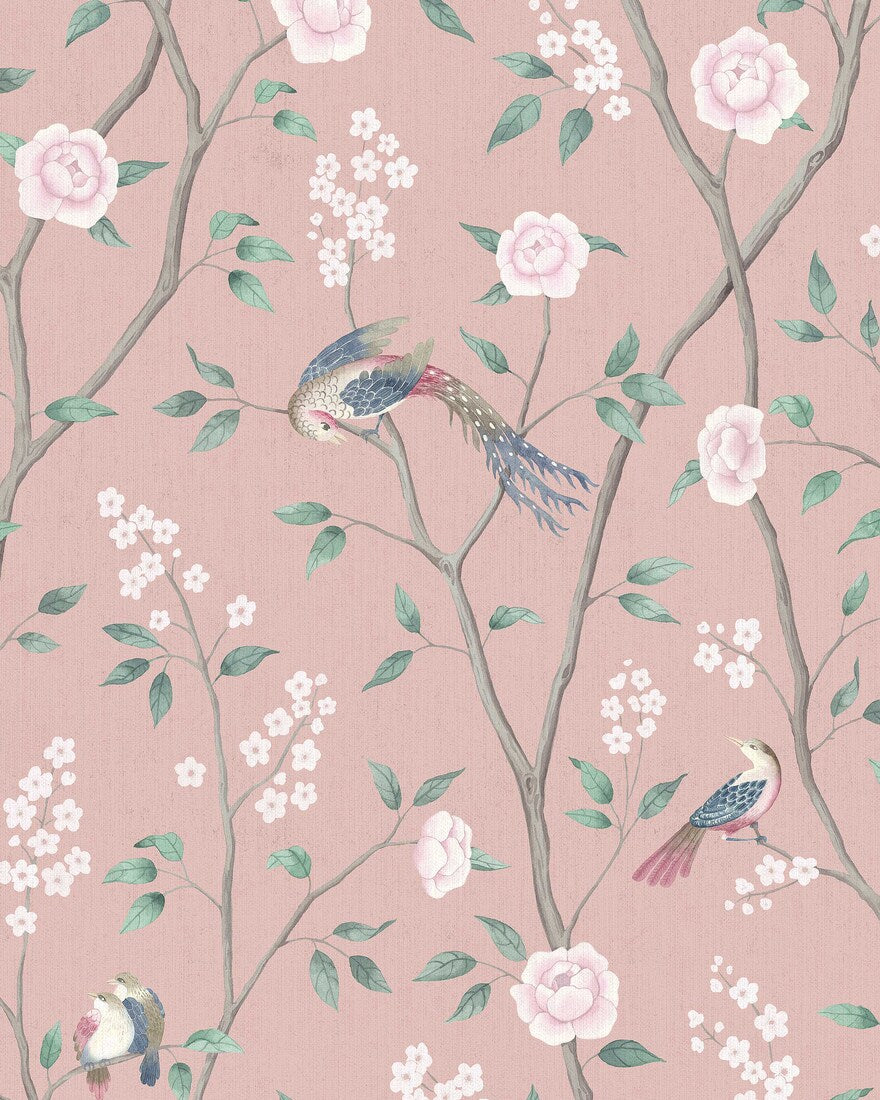 Paradise Birds 1901