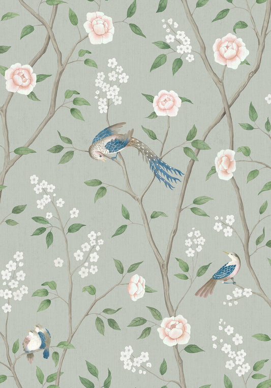 Paradise Birds 1903