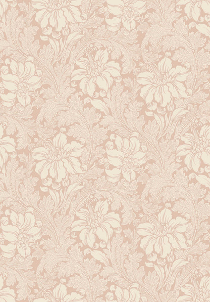 Acanthus 2009