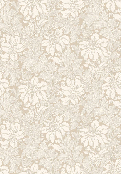 Acanthus 2011