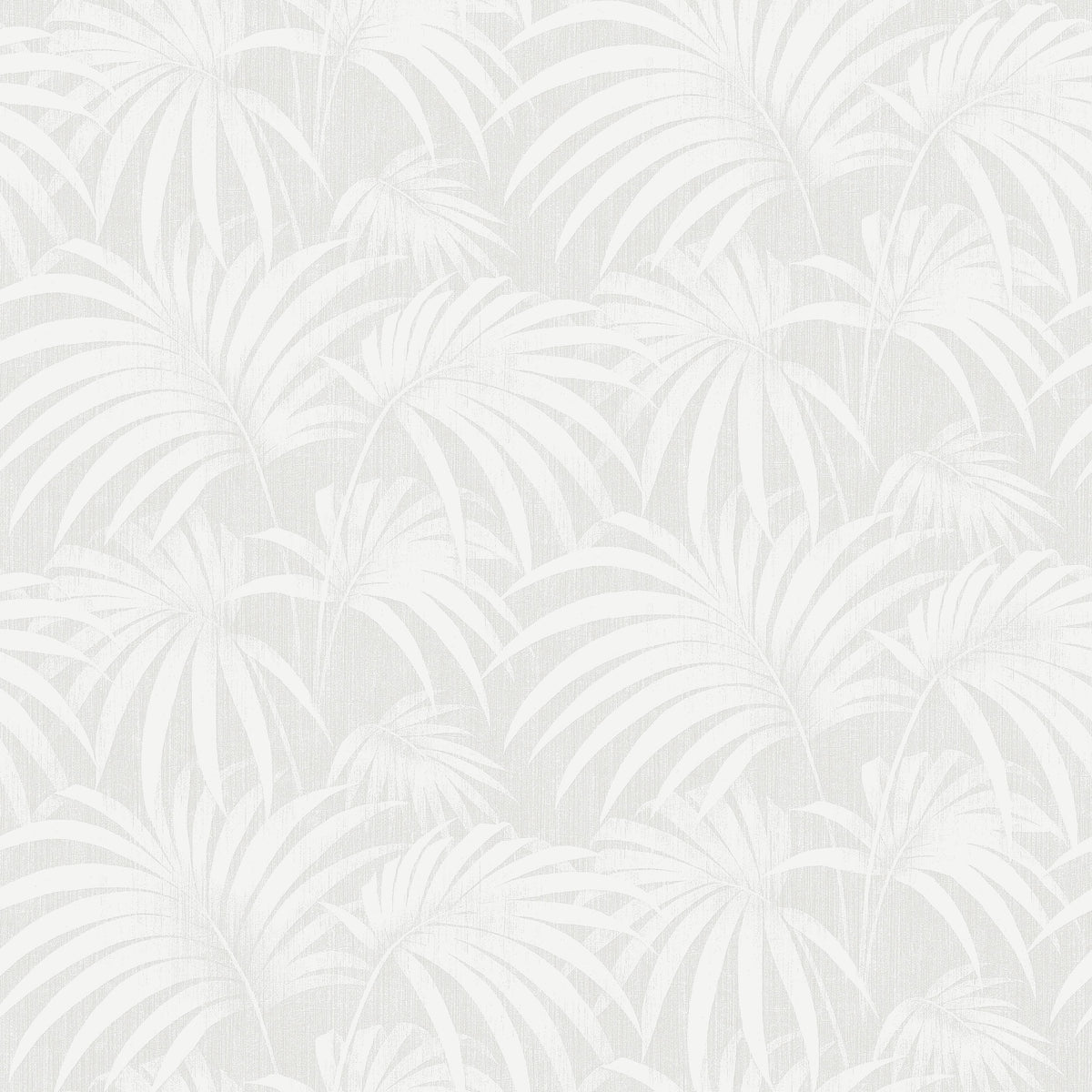 Paula 38768