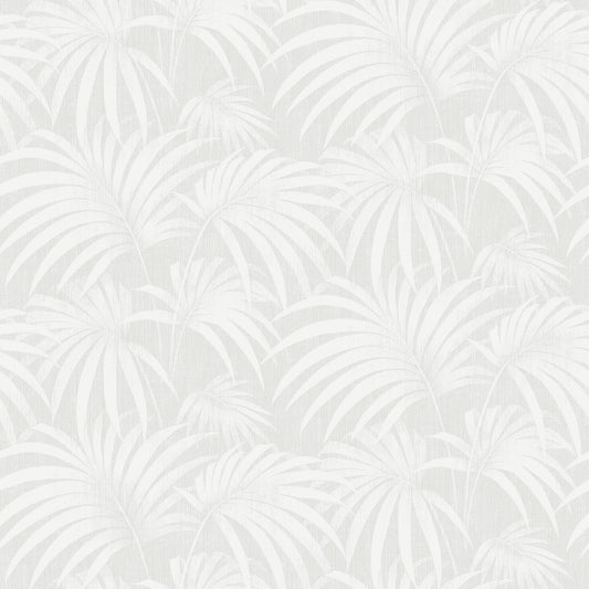 Paula 38768