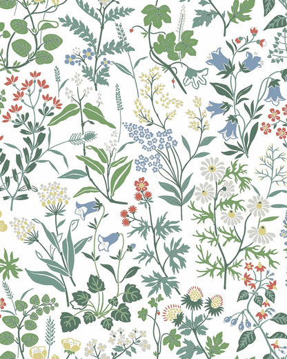 Flora 4180