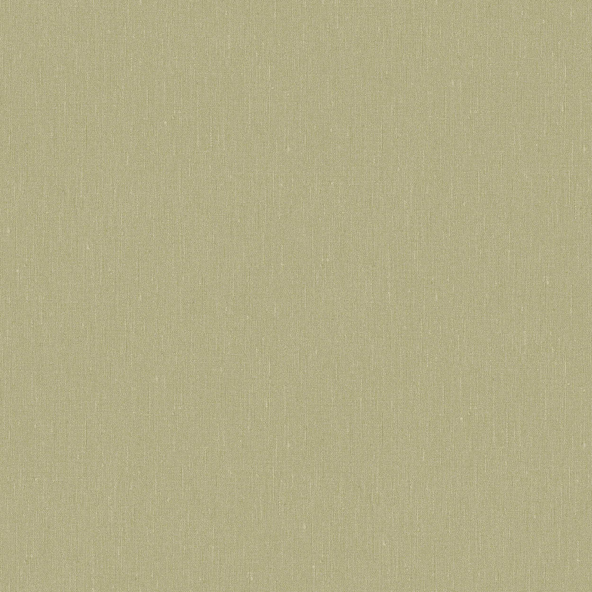 Fresh Olive 4348