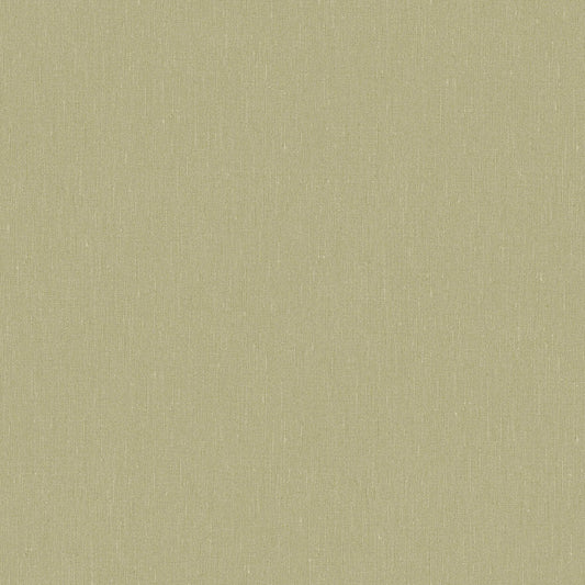 Fresh Olive 4348