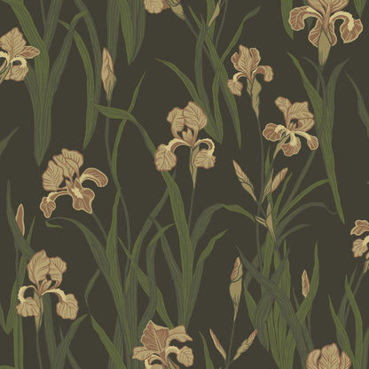 Iris 53116