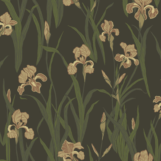Iris 53116