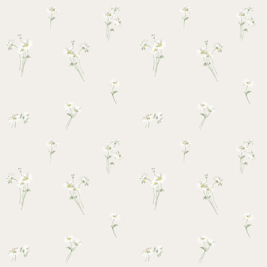 Daisy 53122