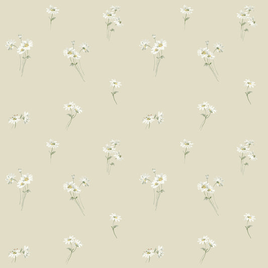 Daisy 53123
