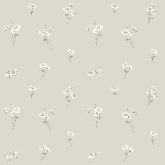 Daisy 53124