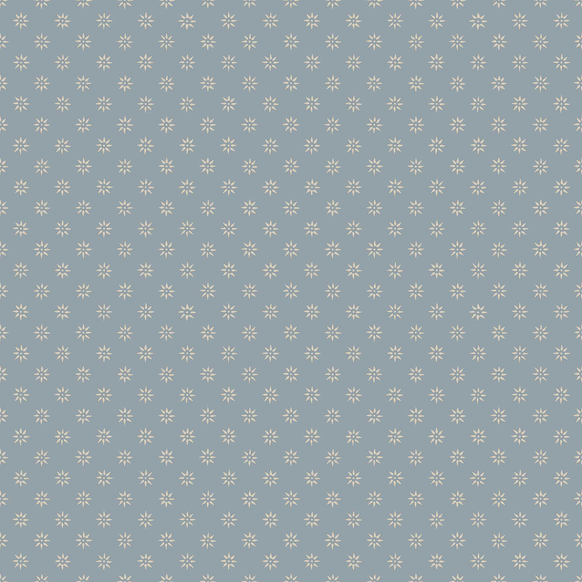 Skogsstjärna 5808
