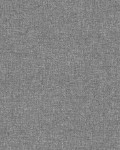 Canvas Graphite 6119