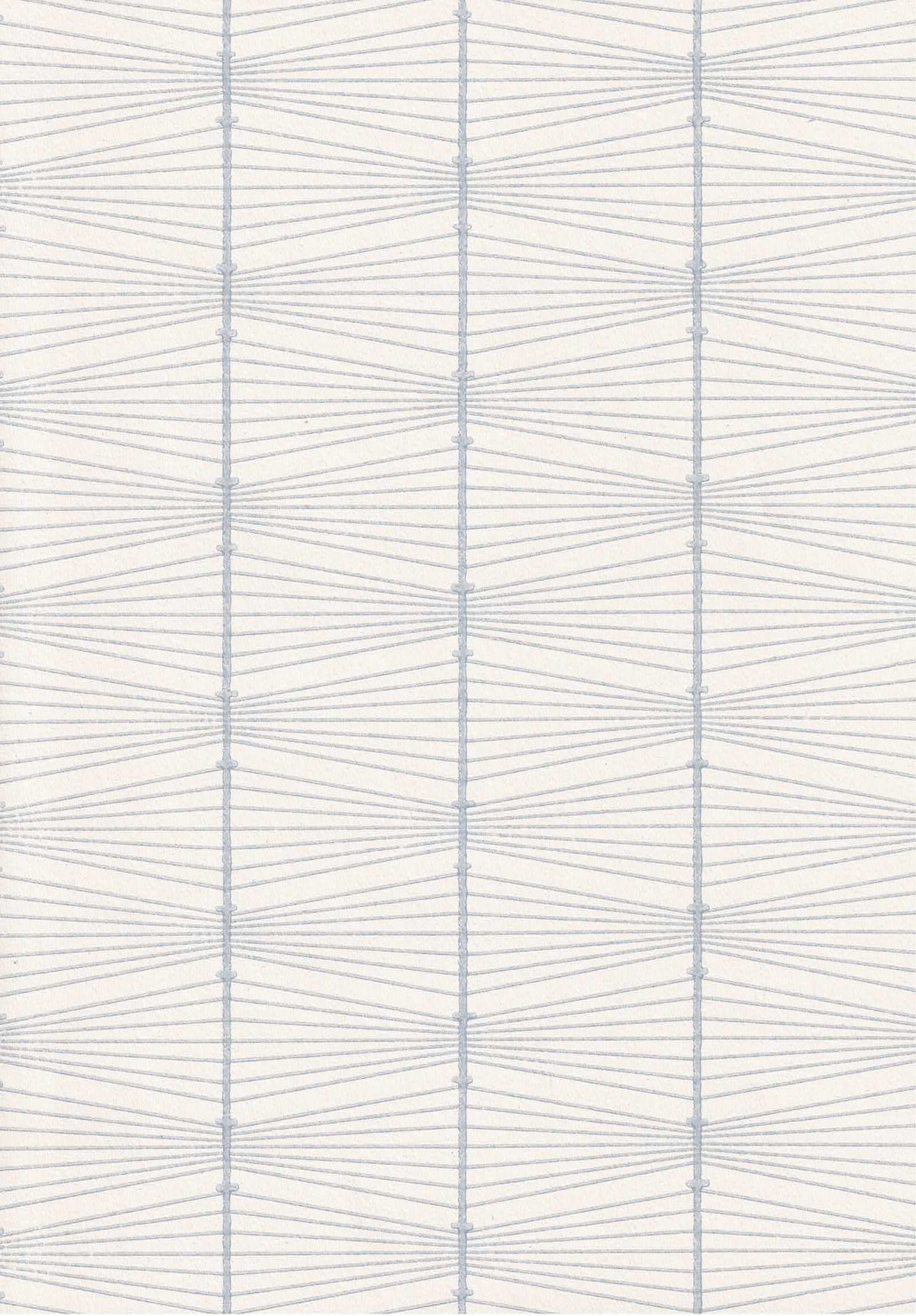 Jukka Pellinen: Bownet  64301