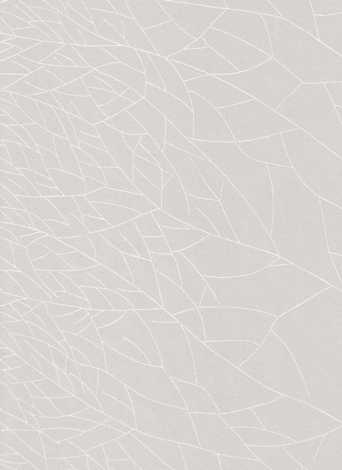 Erik Bruun: Linneus  64610