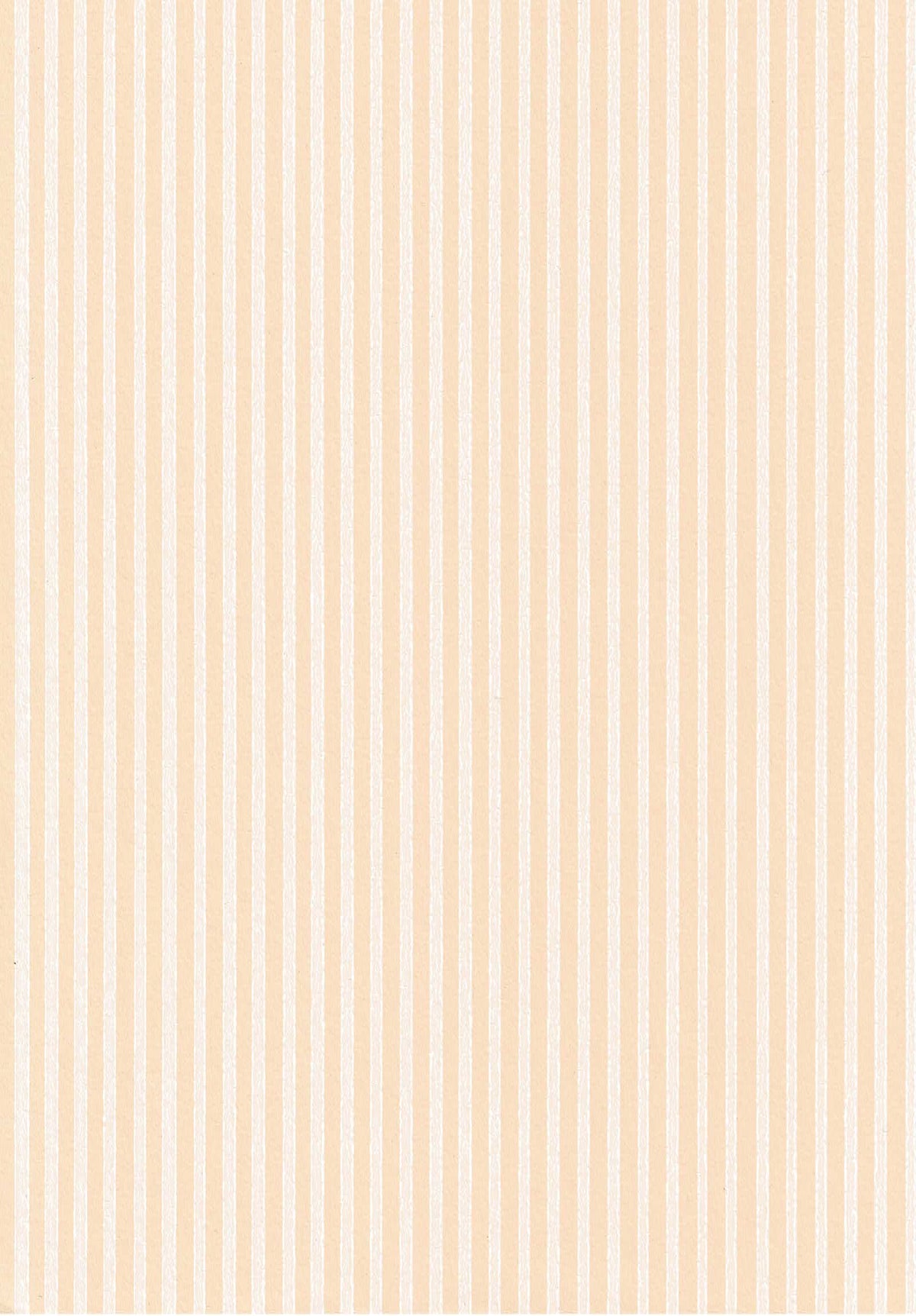 Kapea raita  69699