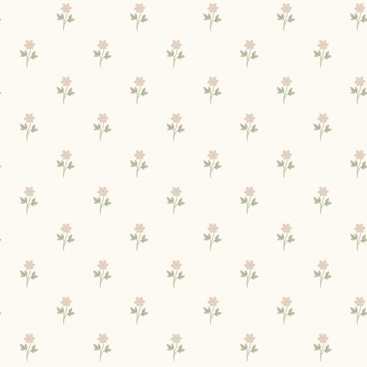 Anemone 6973