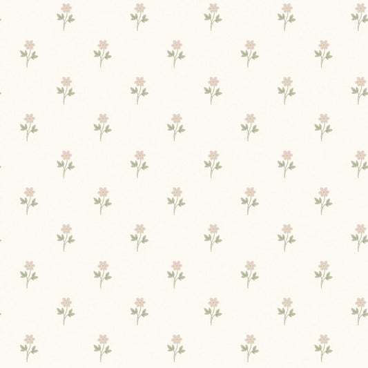 Anemone 6973